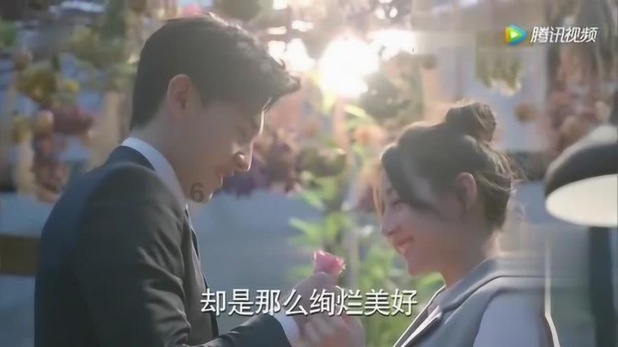 禅宗花园